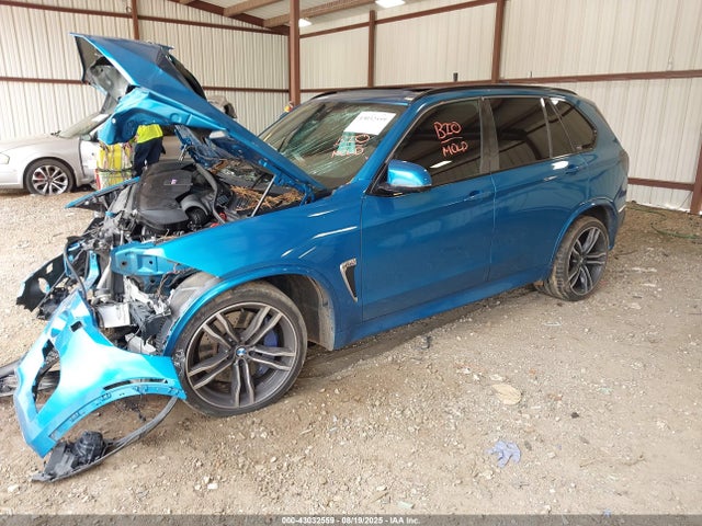 BMW X5 2015 5YMKT6C52F0C88990 Image 2