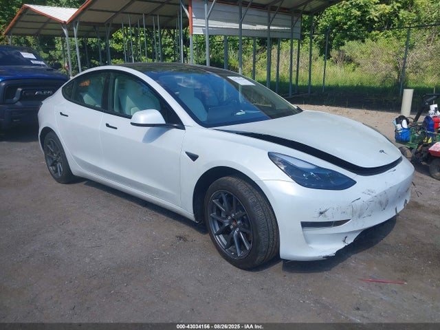 2023 TESLA MODEL 3 5YJ3E1EA3PF498048 Photo 0