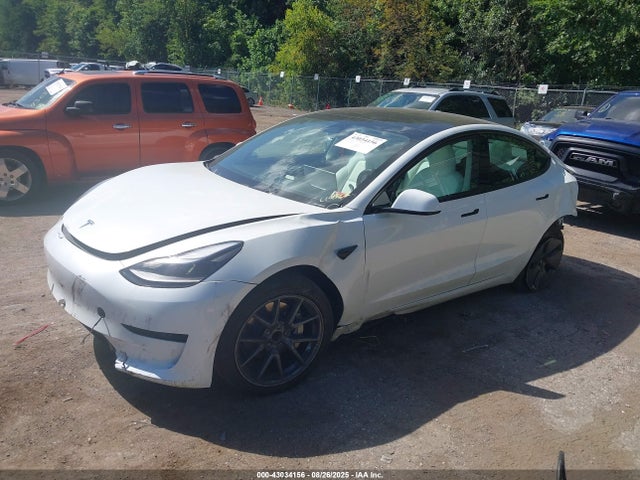 2023 TESLA MODEL 3 5YJ3E1EA3PF498048 Photo 1