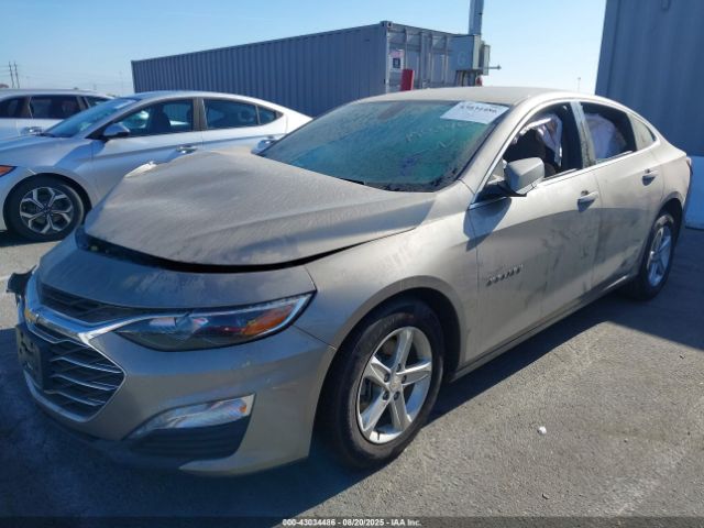 2022 CHEVROLET MALIBU 1G1ZD5ST3NF195346 Photo 1