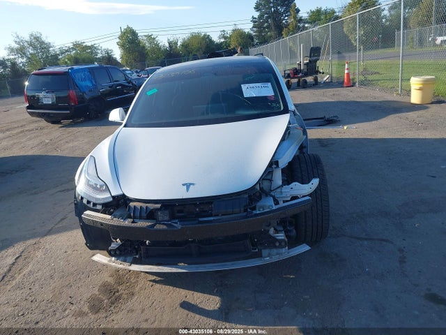 Tesla 2019 2019 5YJ3E1EB3KF494325 Image 12