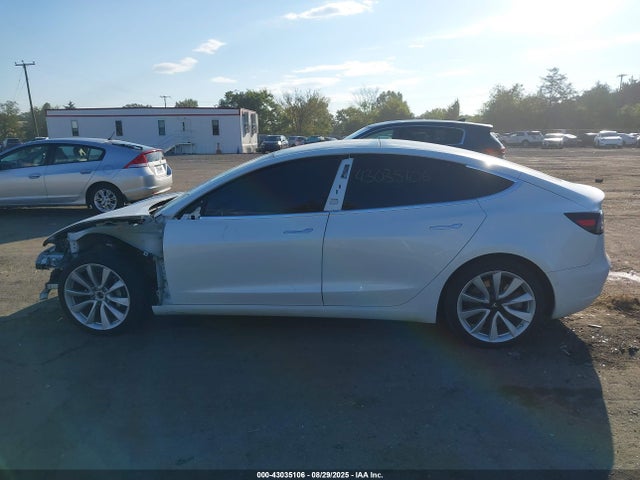 Tesla 2019 2019 5YJ3E1EB3KF494325 Image 14