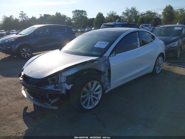 2019 TESLA MODEL 3 5YJ3E1EB3KF494325 Photo 1