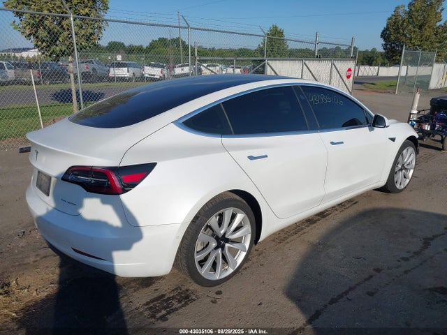 2019 TESLA MODEL 3 5YJ3E1EB3KF494325 Photo 3