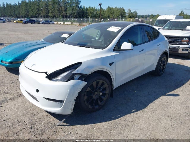 Tesla Model Y 2023 7SAYGDED7PF969892 Image 2