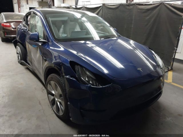 2023 TESLA MODEL Y 7SAYGDEE1PF592002 Photo 0