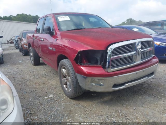 2009 DODGE RAM 1500 1D3HB13TX9J501453