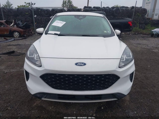 1FMCU9G62MUA25508 Ford dragon di tc