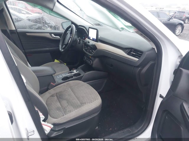 1FMCU9G62MUA25508 Ford dragon di tc