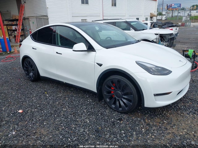 2023 TESLA MODEL Y 7SAYGDEF0PF835548 Photo 0