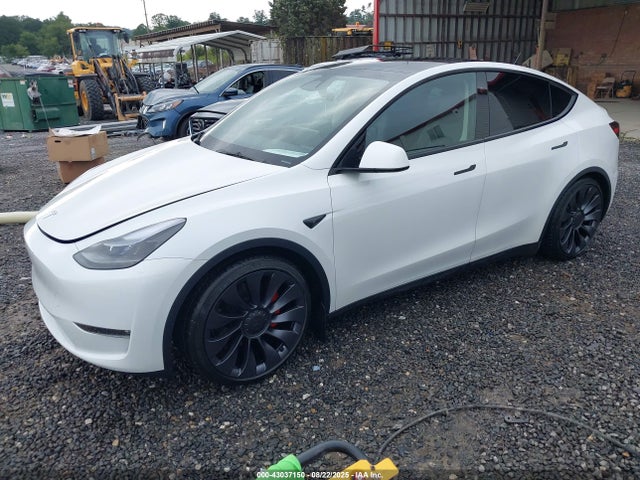 2023 TESLA MODEL Y 7SAYGDEF0PF835548 Photo 1