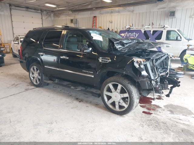 2011 CADILLAC ESCALADE 1GYS4CEF7BR163765 Photo 0