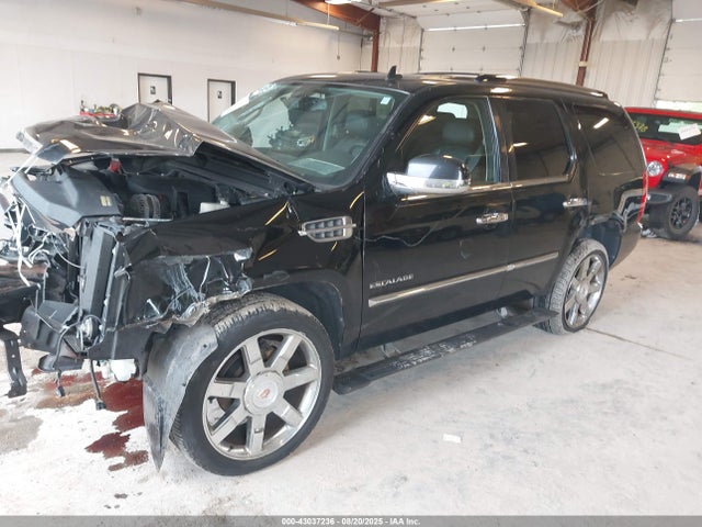 2011 CADILLAC ESCALADE 1GYS4CEF7BR163765 Photo 1