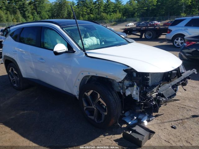 2024 HYUNDAI TUCSON HYBRID KM8JCCD12RU201819