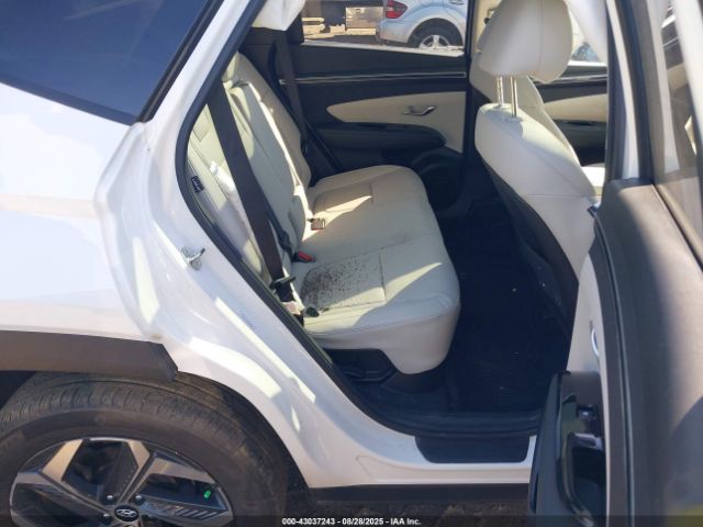 2024 HYUNDAI TUCSON HYBRID KM8JCCD12RU201819 Photo 7