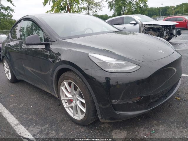 2023 TESLA MODEL Y 7SAYGDEF7PF980571 Photo 0
