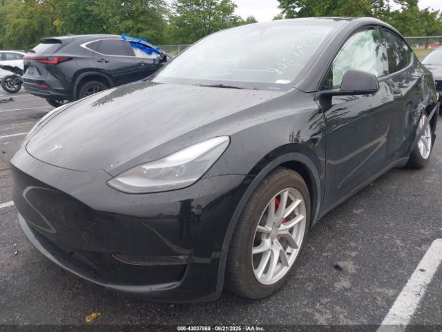 2023 TESLA MODEL Y 7SAYGDEF7PF980571 Photo 1