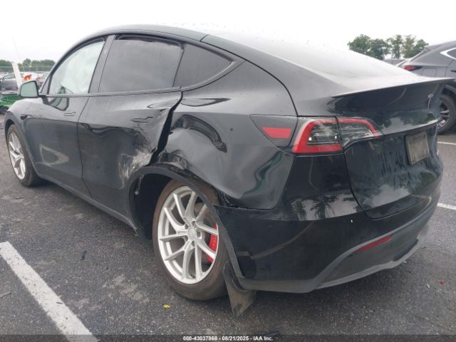 2023 TESLA MODEL Y 7SAYGDEF7PF980571 Photo 2