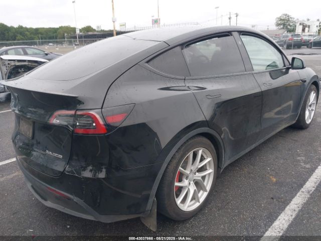 2023 TESLA MODEL Y 7SAYGDEF7PF980571 Photo 3