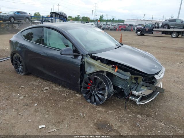 2024 TESLA MODEL Y 7SAYGDEFXRF022897 Photo 0
