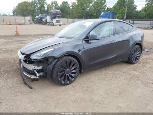 2024 TESLA MODEL Y 7SAYGDEFXRF022897 Photo 1