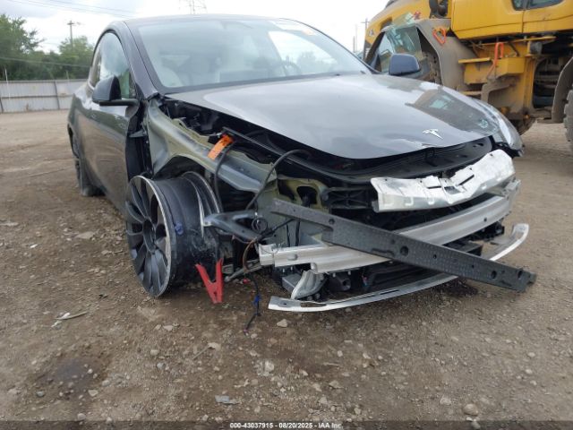 2024 TESLA MODEL Y 7SAYGDEFXRF022897 Photo 5