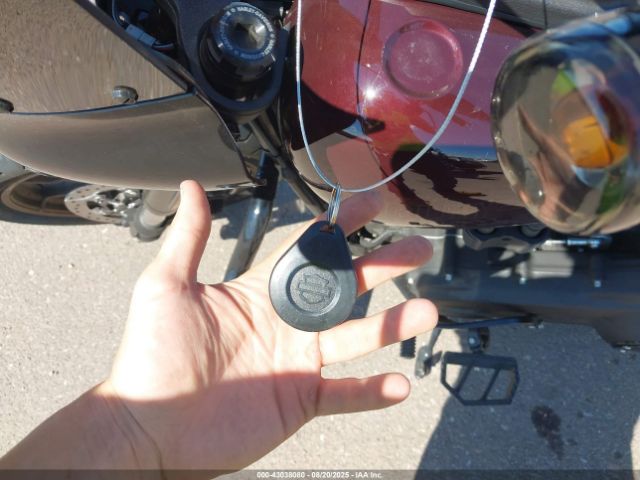 2021 HARLEY-DAVIDSON FXLRS 1HD1YWK15MB027919 Photo 10