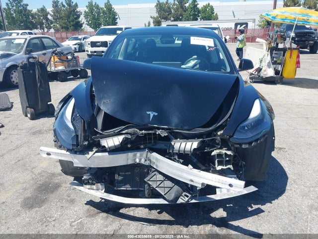 Tesla MODEL 3 2023 5YJ3E1EA8PF555103 Image 12