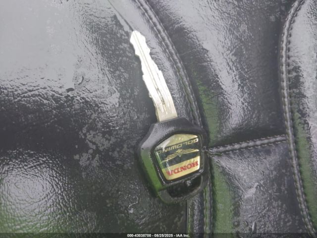 2007 HONDA GL1800 1HFSC47F57A603070 Photo 10