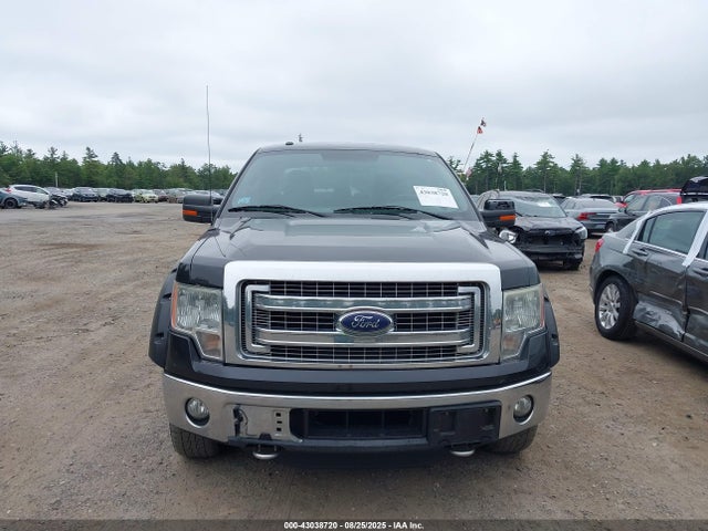 Ford 2014 2014 1FTFW1ET3EFB41215 Image 12