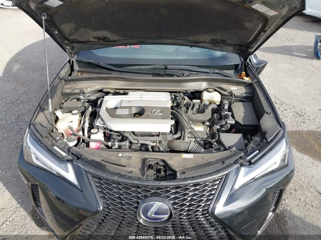 Lexus m20a-fxs, 3nm, 1mm 2019 JTHU9JBH0K2013787 Image 10