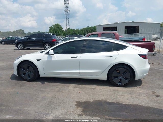 Tesla MODEL 3 2021 5YJ3E1EA0MF030239 Image 31