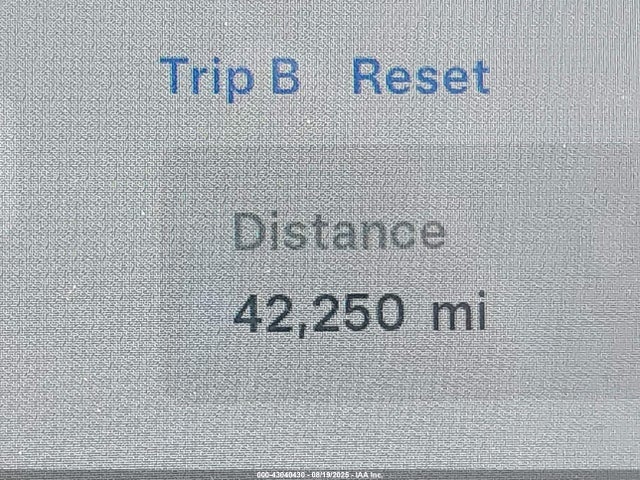 Tesla MODEL 3 2021 5YJ3E1EA0MF030239 Image 32