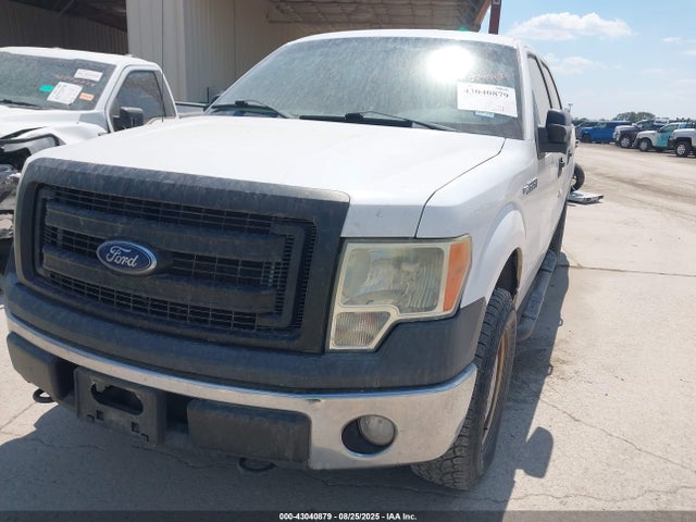 Ford F-150 2014 1FTFW1EF4EKF19558 Image 6