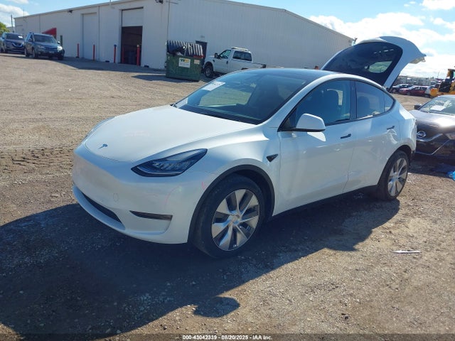 2022 TESLA MODEL Y 7SAYGDEE4NF434122 Photo 1
