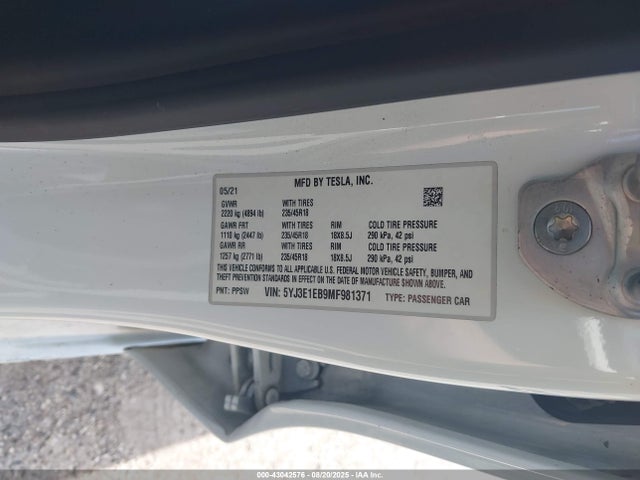 2021 TESLA MODEL 3 5YJ3E1EB9MF981371 Photo 8