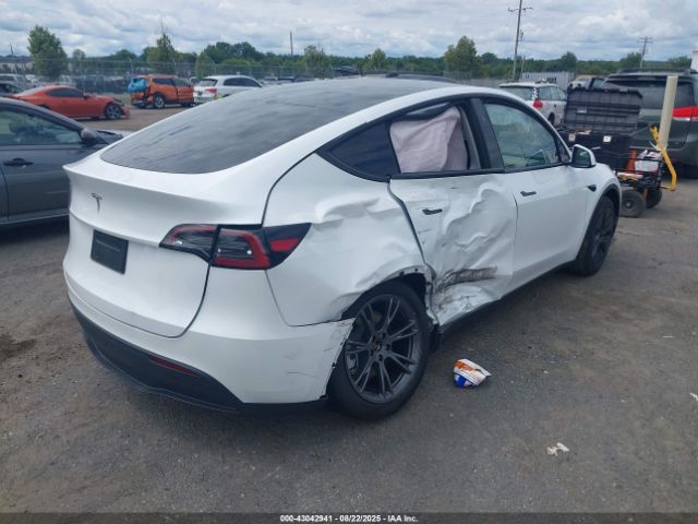2025 TESLA MODEL Y 7SAYGDEDXSA361547 Photo 3