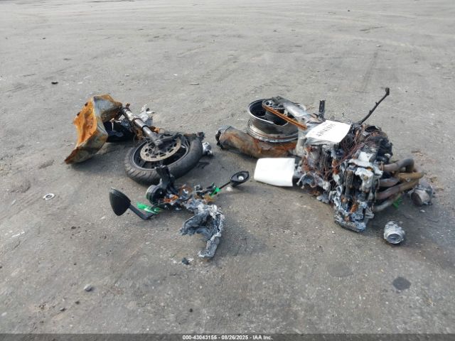 2020 KAWASAKI ZX1400 JKBZXNJ19LA010456 Photo 1