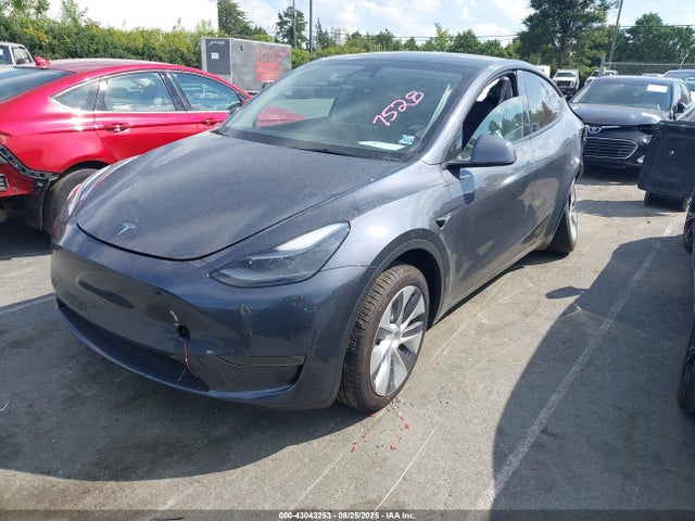 2023 TESLA MODEL Y 7SAYGDEE4PA207528 Photo 1