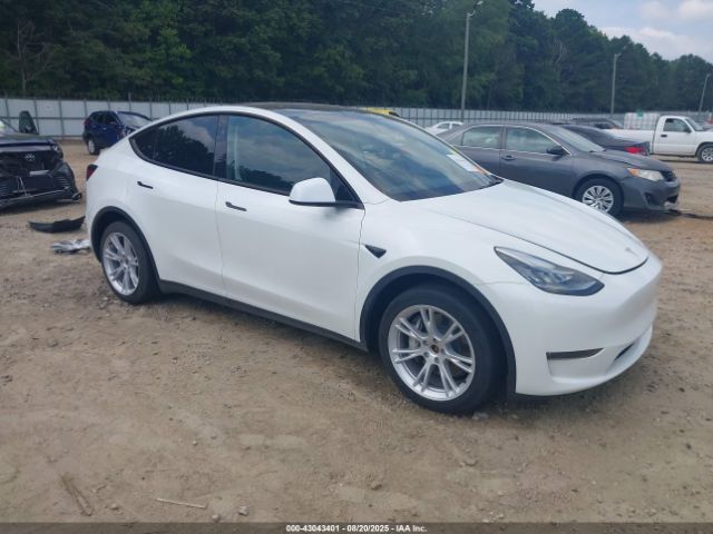 2023 TESLA MODEL Y 7SAYGDEE8PA150850 Photo 0