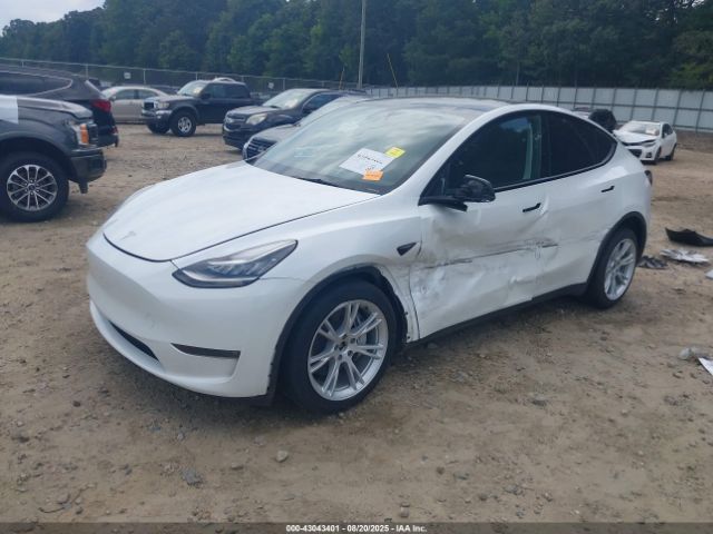 2023 TESLA MODEL Y 7SAYGDEE8PA150850 Photo 1