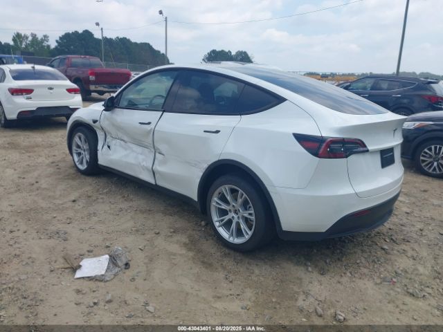 2023 TESLA MODEL Y 7SAYGDEE8PA150850 Photo 2