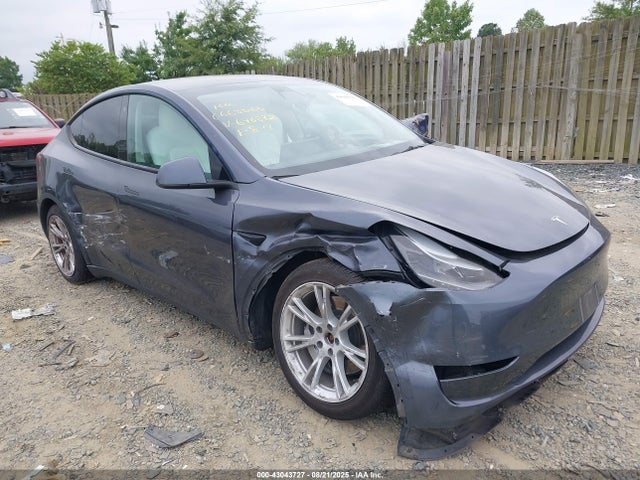 2023 TESLA MODEL Y 7SAYGAEE9PF646872 Photo 0