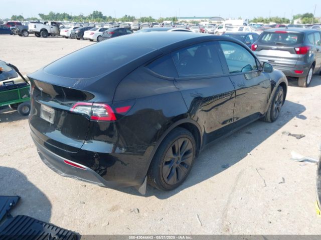 2025 TESLA MODEL Y 7SAYGDEDXSA356977 Photo 3
