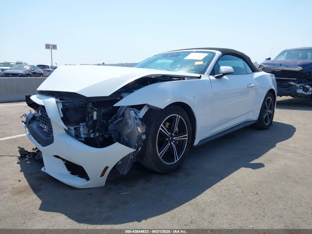 Ford 4v 2024 1FAGP8UH1R5114314 Image 2