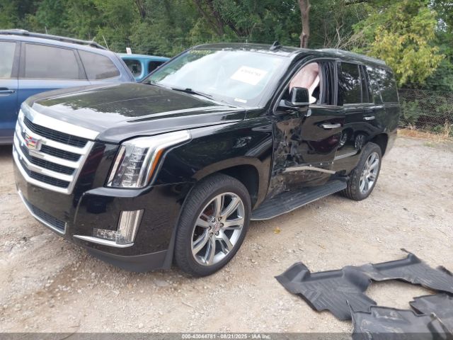 2020 CADILLAC ESCALADE 1GYS4AKJ4LR169974 Photo 1