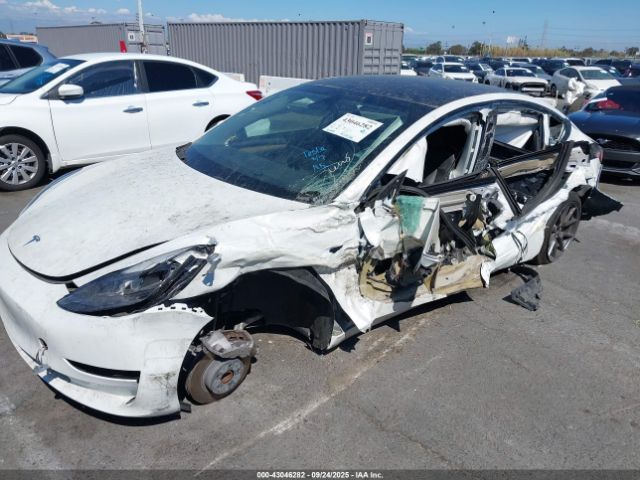 2023 TESLA MODEL 3 5YJ3E1EA2PF572169 Photo 5