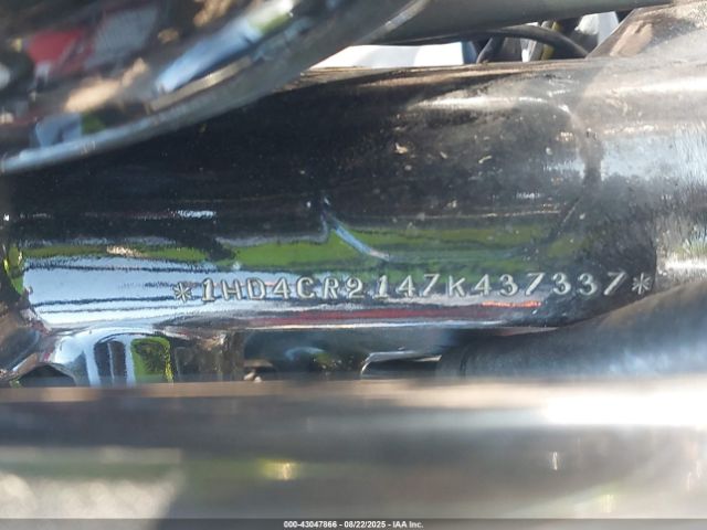 2007 HARLEY-DAVIDSON XL883 1HD4CR2147K437337 Photo 9