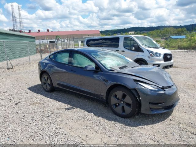 2023 TESLA MODEL 3 5YJ3E1EA8PF567641 Photo 0