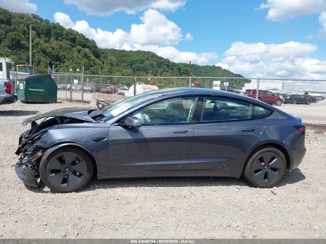 Tesla 2023 2023 5YJ3E1EA8PF567641 Image 14